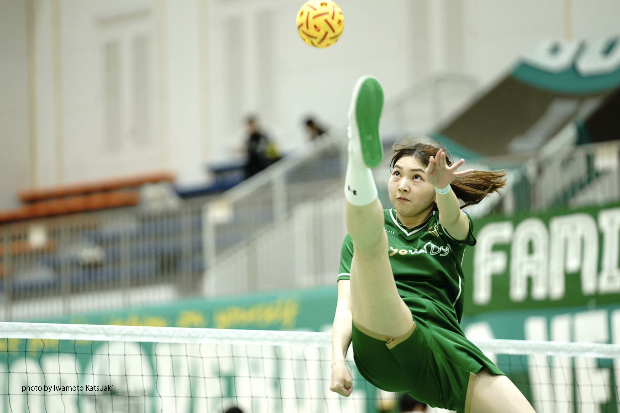 肩甲骨・首回りの血行が良い気がして調子が良い。
